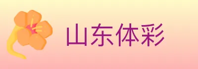 山东体彩 logo